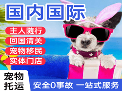 恩施许家坪航空运输国际宠物托运 【国